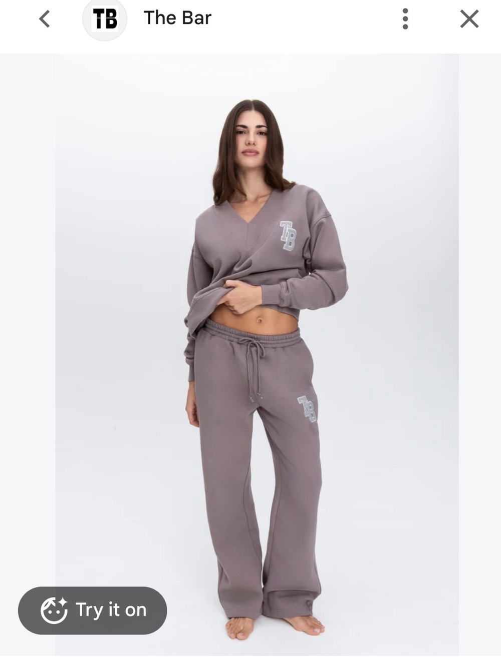 The Bar Arlo Wide Leg Sweatpants in Cinder/Grey